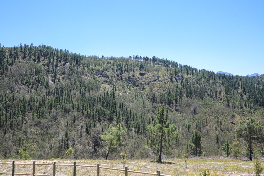 3 Bedroom Property for Sale in Plettenberg Bay Rural Western Cape